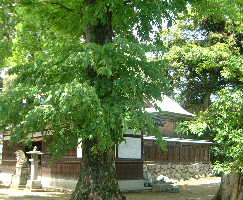 長柄神社